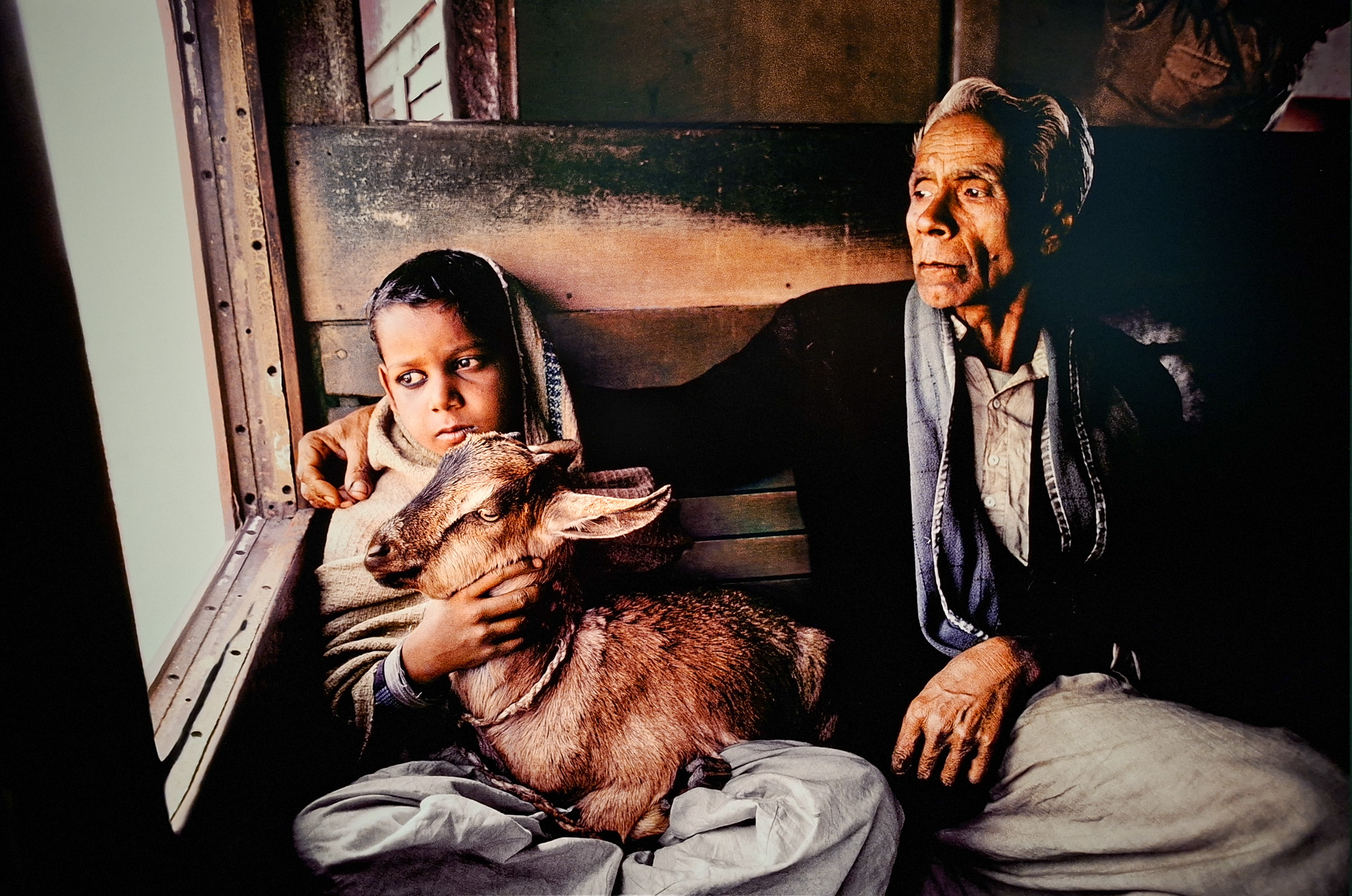 Móvil 20260613 Steve McCurry 58